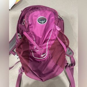 Osprey day pack